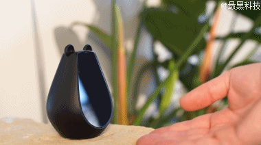 12.gif