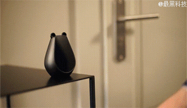 21.gif