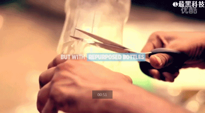 12.gif